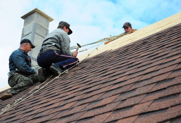 Best Commercial Roofing Services  in Los Fresnos, TX